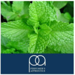 Saborizante Menthol de The Flavor Apprentice